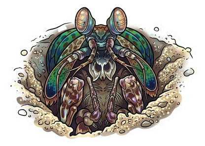 Macro Sticker Pack (10 stickers)